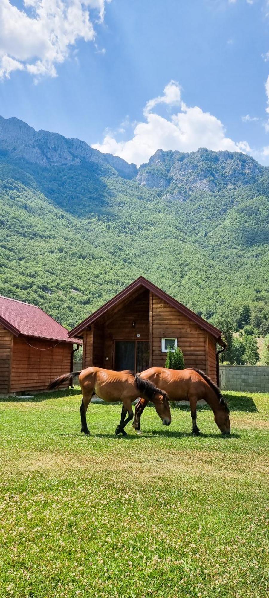 Отель Ethno Katun Rosi Agrotourism Gusinje Экстерьер фото