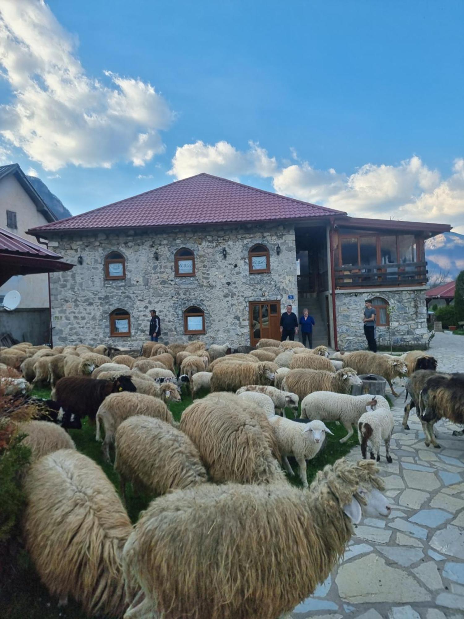 Отель Ethno Katun Rosi Agrotourism Gusinje Экстерьер фото
